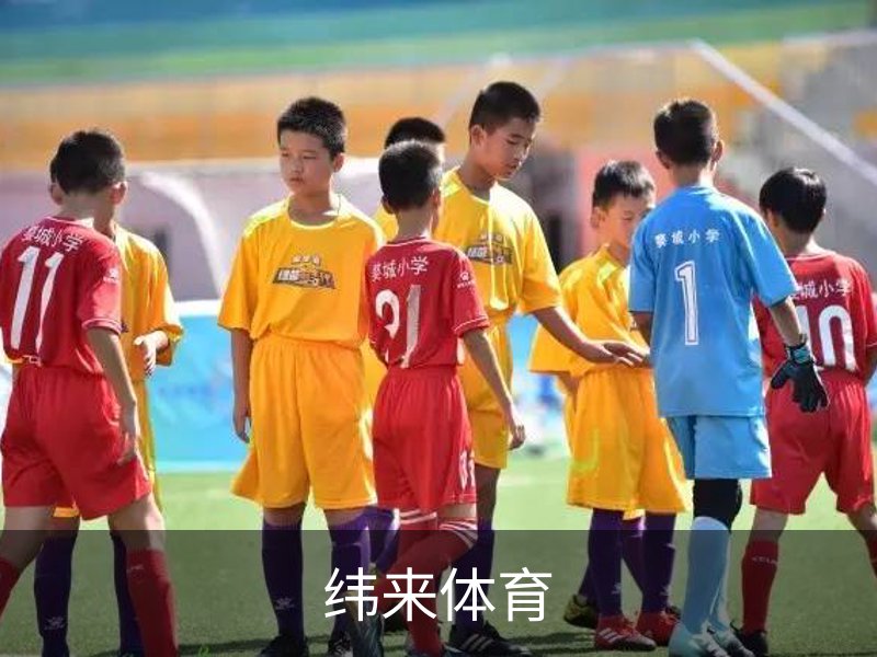 了解纬来体育